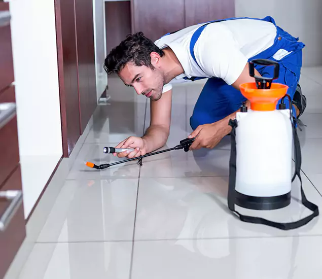 Reliable Professional Mouse Removal: Your Best Mouse Control Company in Kearny, NJ