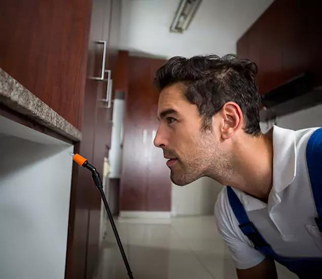 Termite Inspection Cost Experts You Can Trust in Kearny, NJ