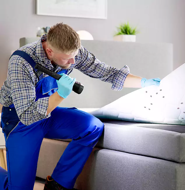 Why Choose Kearny Pest Control Pro for Bed Bug Exterminator Cost in Kearny, NJ?