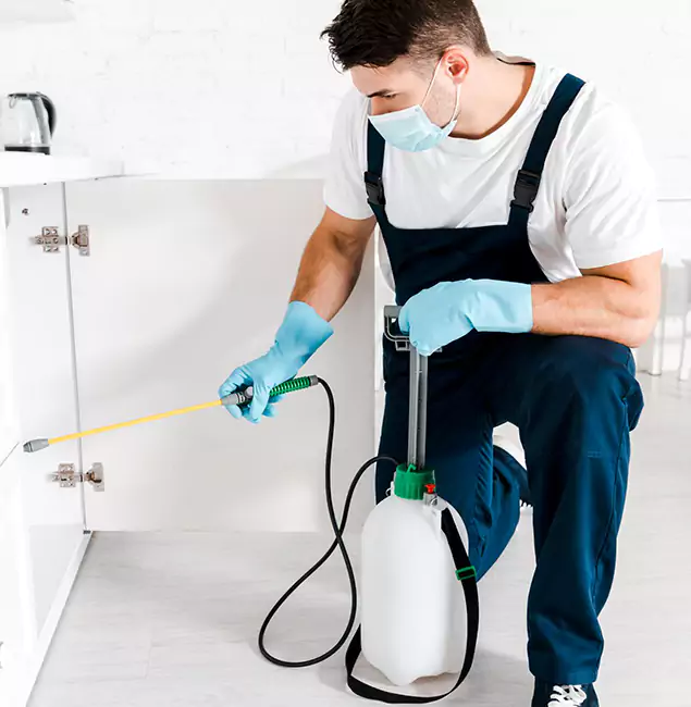 Why Choose Kearny Pest Control Pro for Indoor Pest Control in Kearny, NJ?