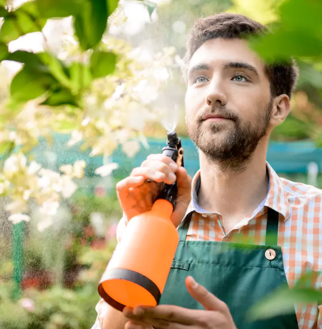 Why Kearny Homeowners Call Kearny Pest Control Pro for Mosquitoes in House?
