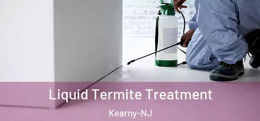 Liquid Termite Treatment Kearny-NJ
