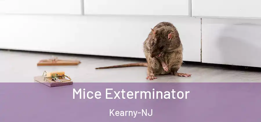 Mice Exterminator Kearny-NJ