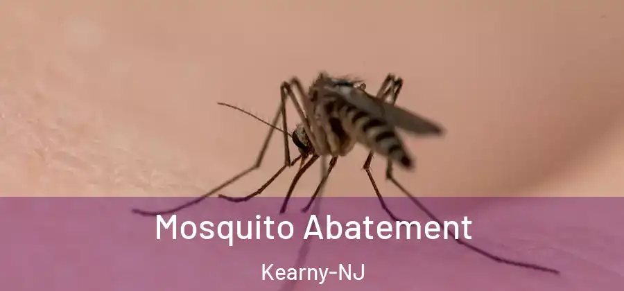 Mosquito Abatement Kearny-NJ