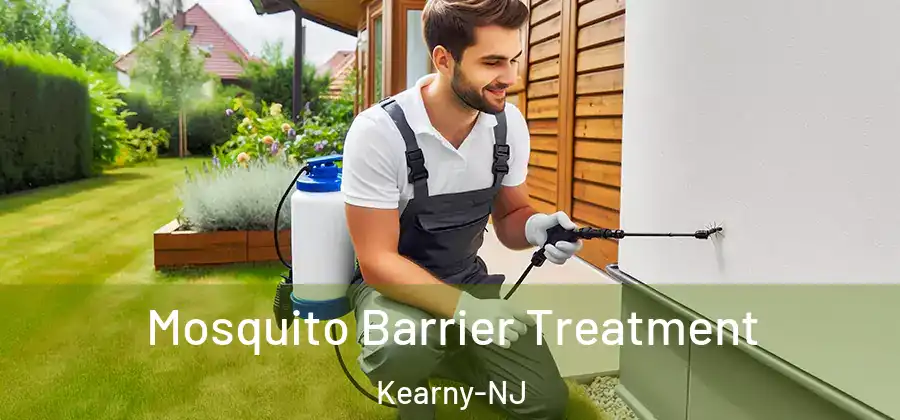Mosquito Barrier Treatment Kearny-NJ