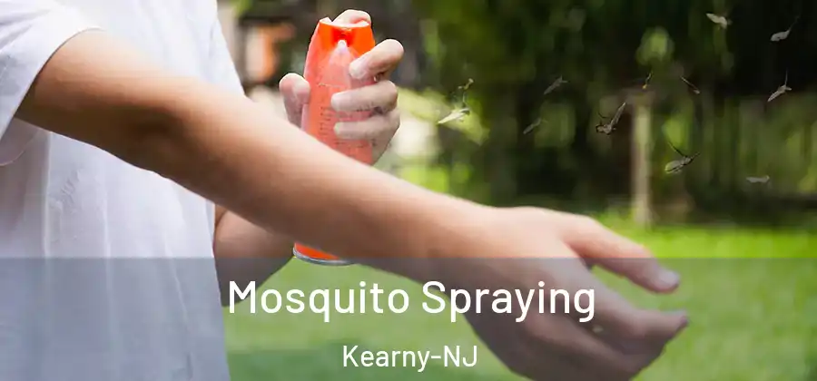 Mosquito Spraying Kearny-NJ