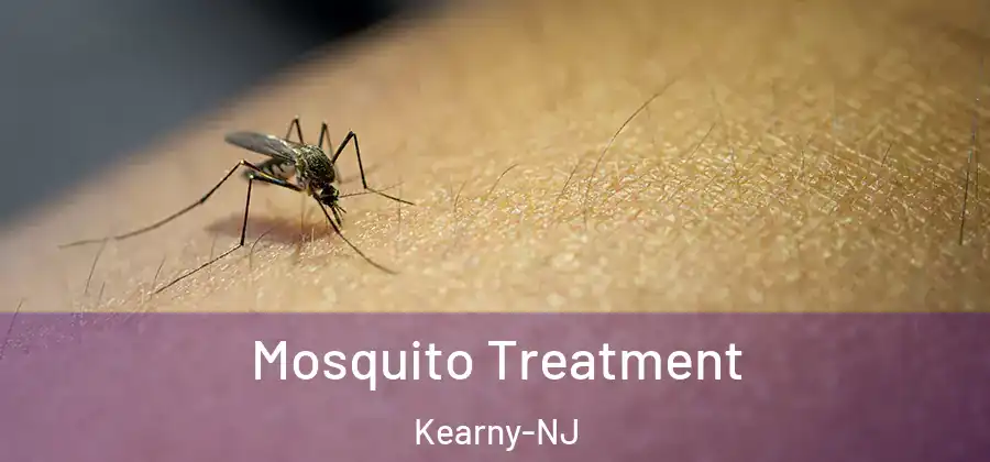 Mosquito Treatment Kearny-NJ