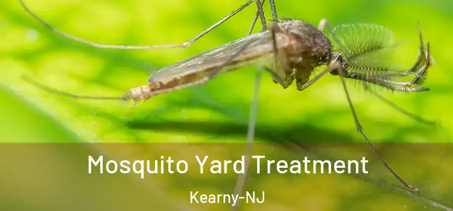 Mosquito Yard Treatment Kearny-NJ