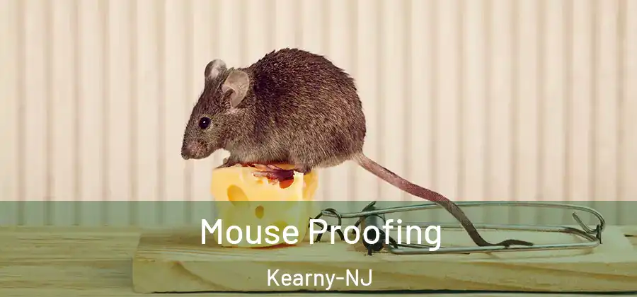 Mouse Proofing Kearny-NJ