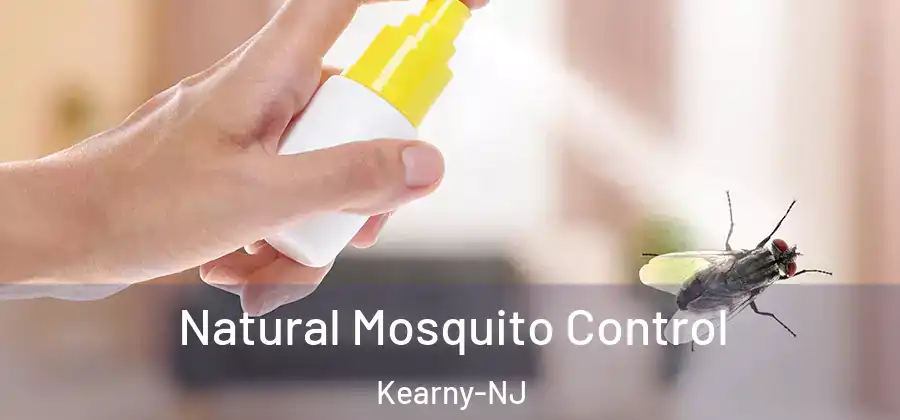  Natural Mosquito Control Kearny-NJ