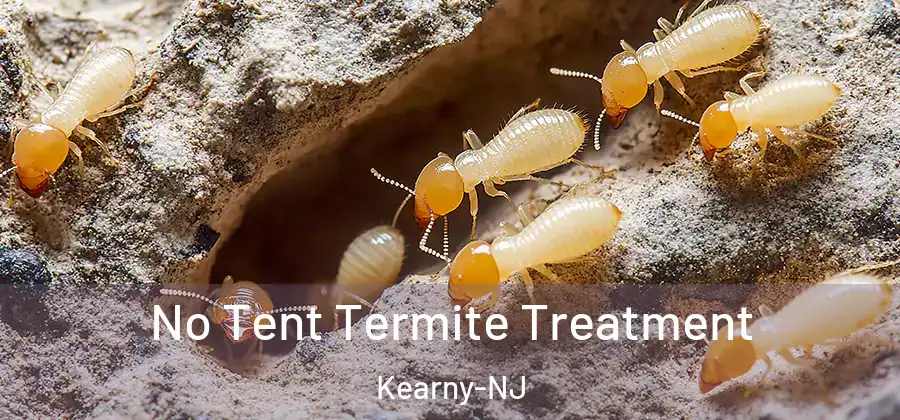 No Tent Termite Treatment Kearny-NJ