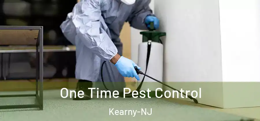  One Time Pest Control Kearny-NJ