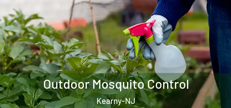 Outdoor Mosquito Control Kearny-NJ