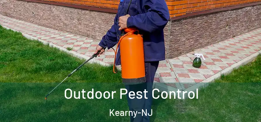 Outdoor Pest Control Kearny-NJ