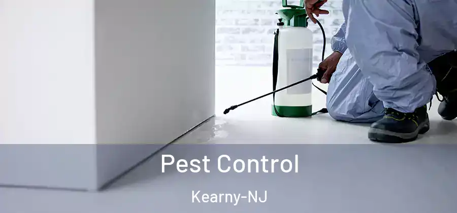 Pest Control Kearny-NJ