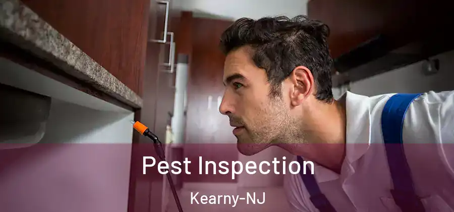 Pest Inspection Kearny-NJ