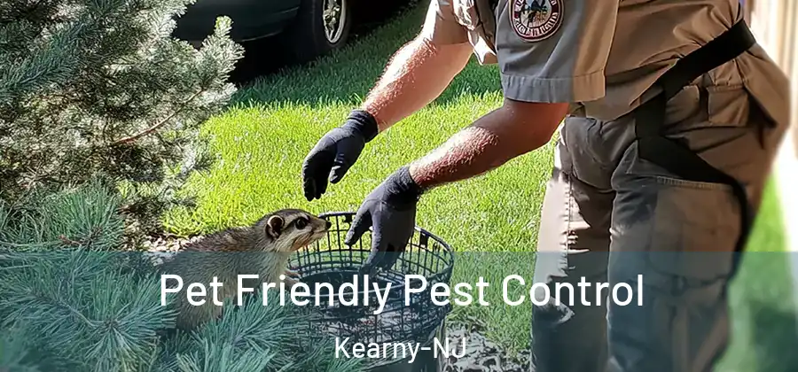 Pet Friendly Pest Control Kearny-NJ