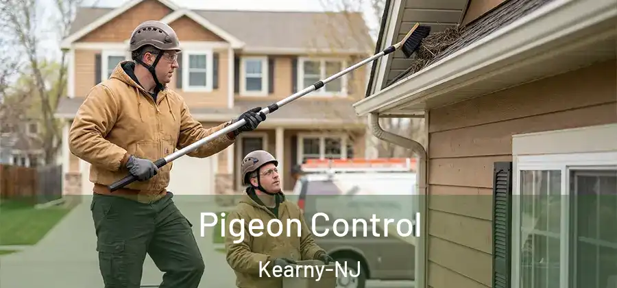 Pigeon Control Kearny-NJ