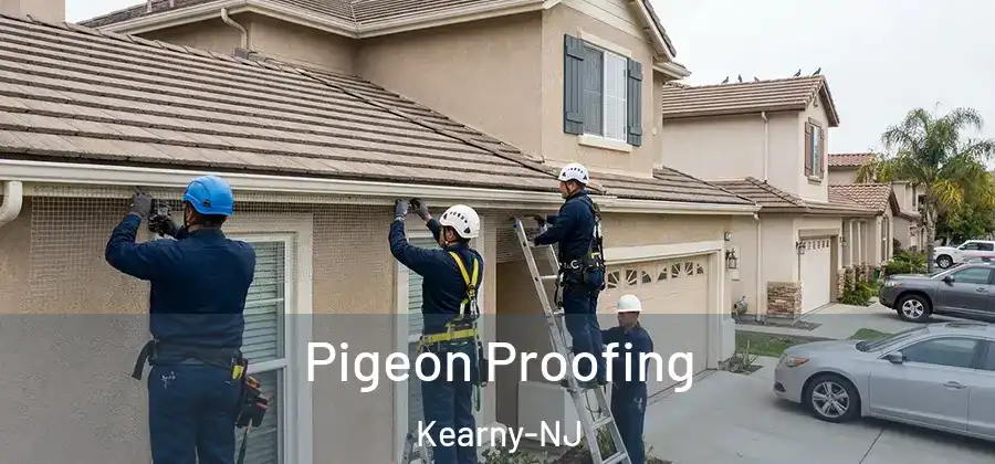 Pigeon Proofing Kearny-NJ