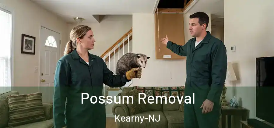  Possum Removal Kearny-NJ