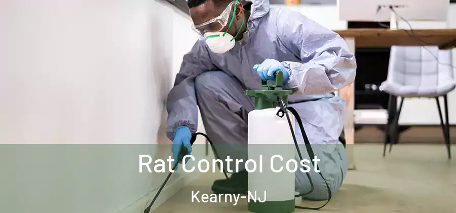 Rat Control Cost Kearny-NJ