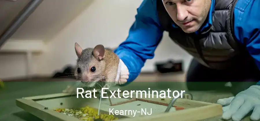 Rat Exterminator Kearny-NJ