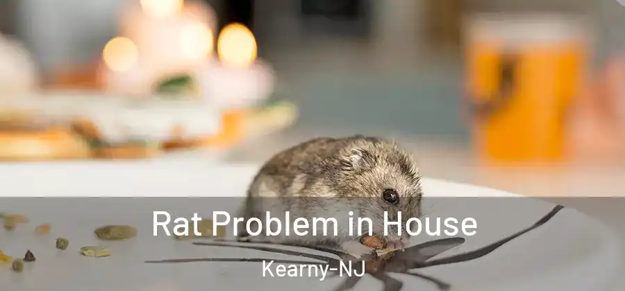  Rat Problem in House Kearny-NJ
