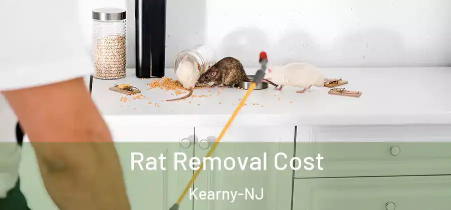 Rat Removal Cost Kearny-NJ