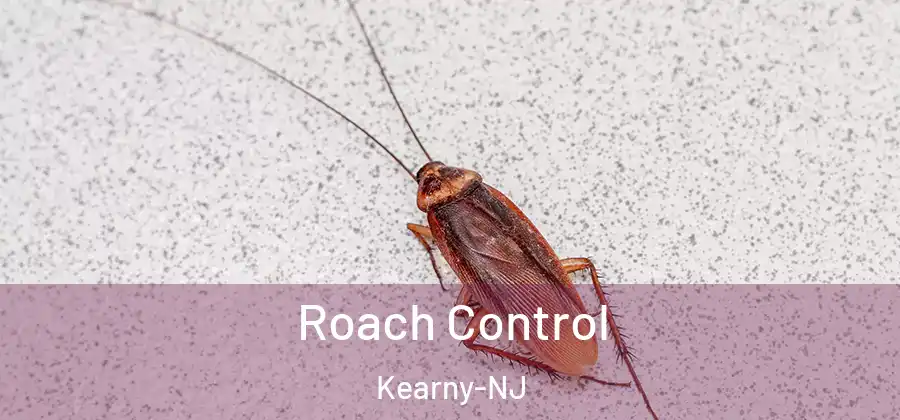  Roach Control Kearny-NJ