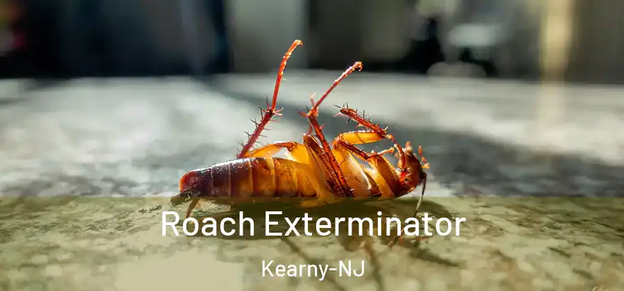 Roach Exterminator Kearny-NJ