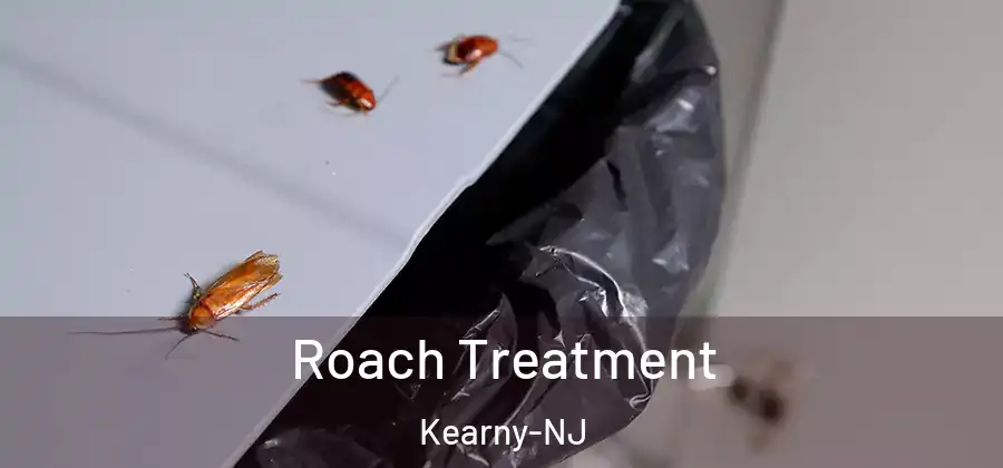 Roach Treatment Kearny-NJ