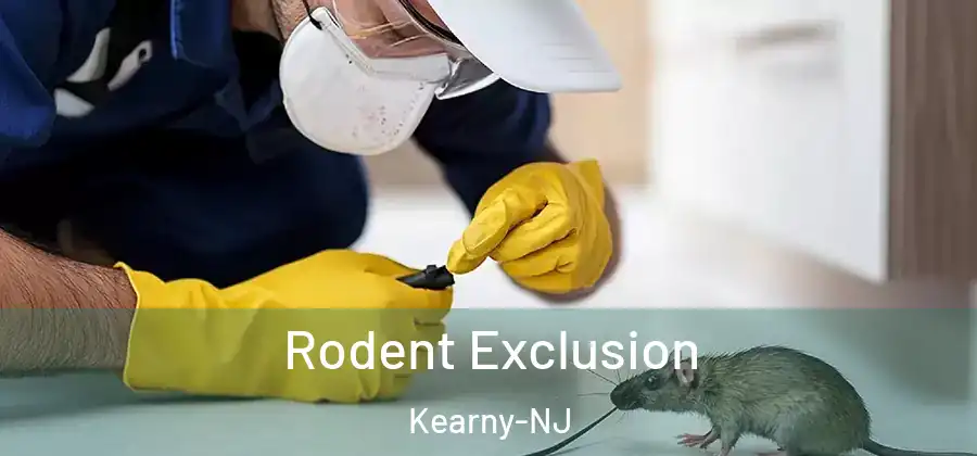  Rodent Exclusion Kearny-NJ