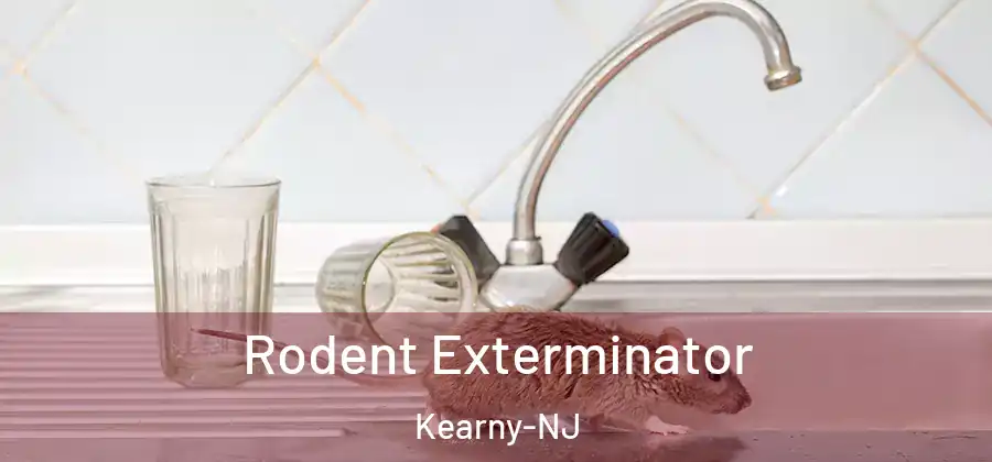  Rodent Exterminator Kearny-NJ