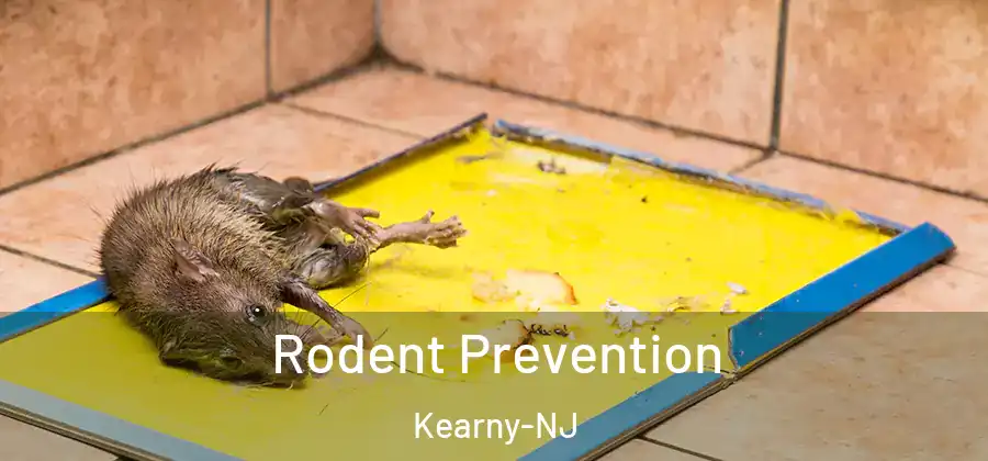 Rodent Prevention Kearny-NJ