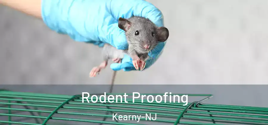 Rodent Proofing Kearny-NJ