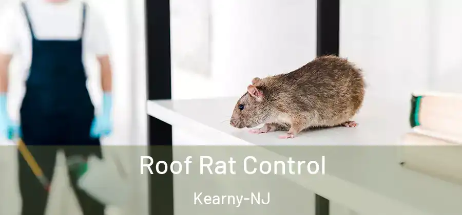 Roof Rat Control Kearny-NJ