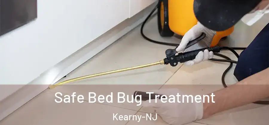 Safe Bed Bug Treatment Kearny-NJ