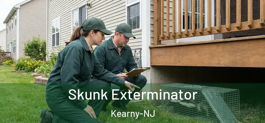Skunk Exterminator Kearny-NJ