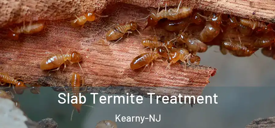 Slab Termite Treatment Kearny-NJ