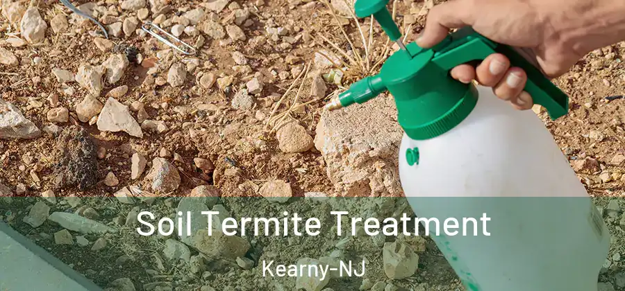 Soil Termite Treatment Kearny-NJ
