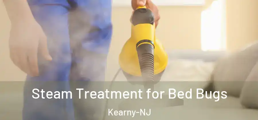 Steam Treatment for Bed Bugs Kearny-NJ
