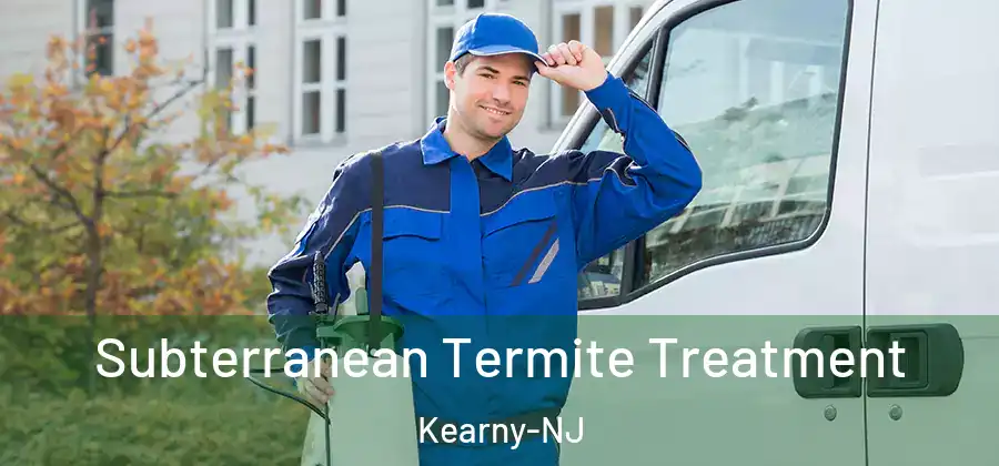 Subterranean Termite Treatment Kearny-NJ
