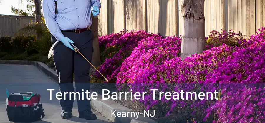 Termite Barrier Treatment Kearny-NJ