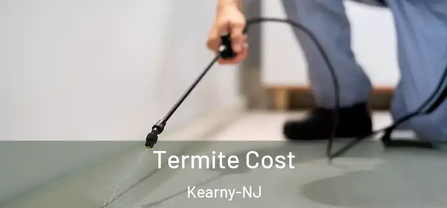 Termite Cost Kearny-NJ