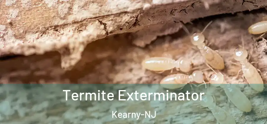 Termite Exterminator Kearny-NJ