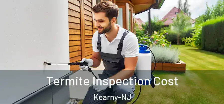  Termite Inspection Cost Kearny-NJ