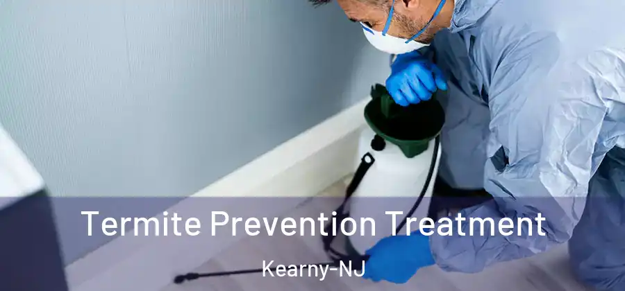  Termite Prevention Treatment Kearny-NJ