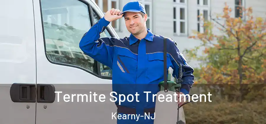 Termite Spot Treatment Kearny-NJ