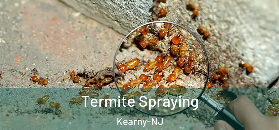 Termite Spraying Kearny-NJ