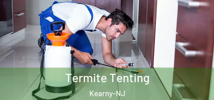 Termite Tenting Kearny-NJ